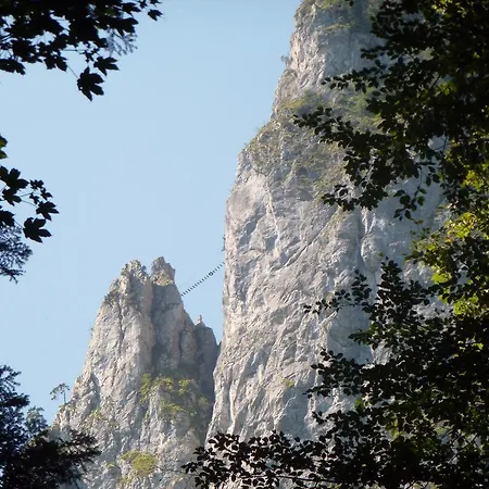 Kaltenleitner Weissenkirchen im Attergau
