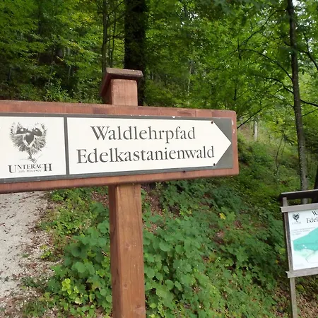 Kaltenleitner Daire Weissenkirchen im Attergau