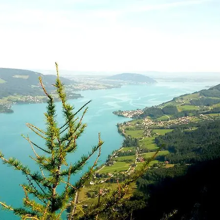 Kaltenleitner Daire *