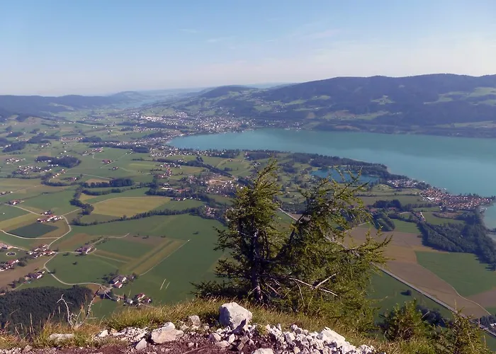 Kaltenleitner Apartment *