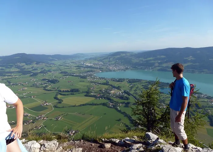 Kaltenleitner Apartment