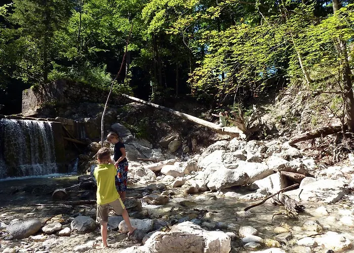 Kaltenleitner Apartment