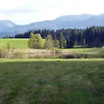 卡尔滕雷特纳公寓 公寓 Weissenkirchen im Attergau