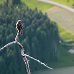 卡尔滕雷特纳公寓 公寓 Weissenkirchen im Attergau