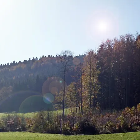 Apartman Kaltenleitner *