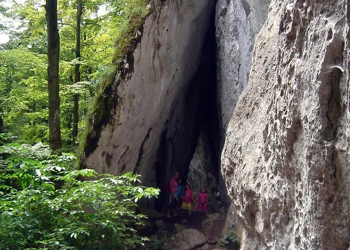 Kaltenleitner Διαμέρισμα