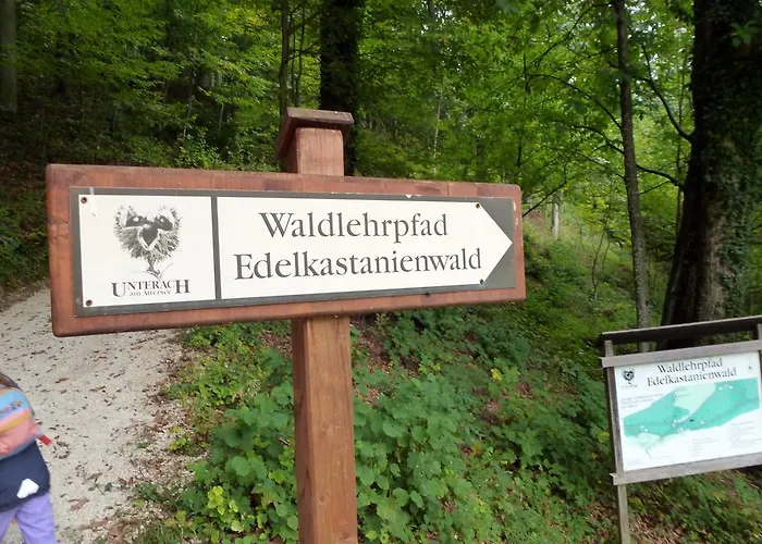 Kaltenleitner Διαμέρισμα Weissenkirchen im Attergau