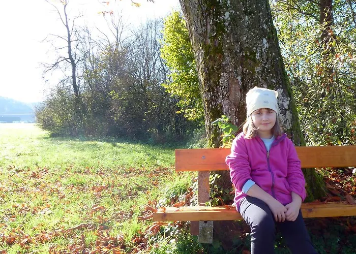 Διαμέρισμα Kaltenleitner *