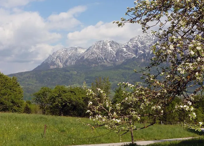 Kaltenleitner Διαμέρισμα