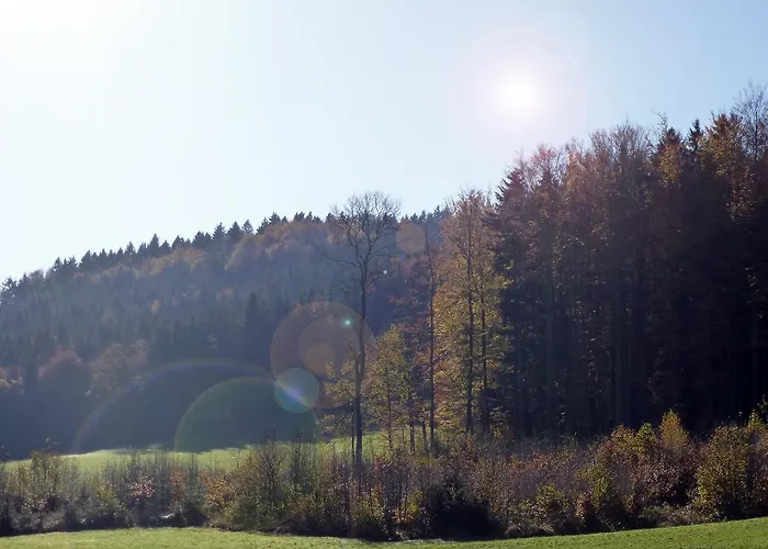 Διαμέρισμα Kaltenleitner *