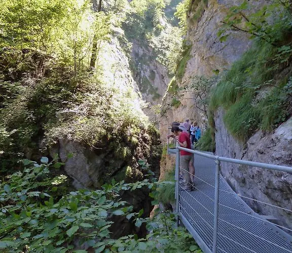 Διαμέρισμα Kaltenleitner *