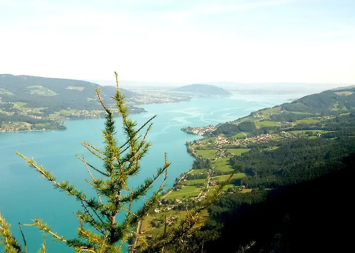 Kaltenleitner Διαμέρισμα *